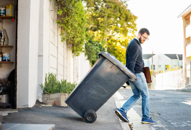 Best Green Junk Removal in Louisburg, KS